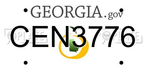 CEN3776 Georgia License Plate