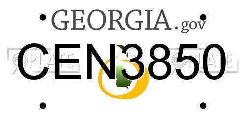 CEN3850 Georgia License Plate