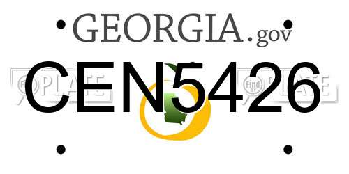 CEN5426 Georgia License Plate