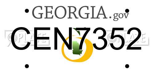 CEN7352 Georgia License Plate