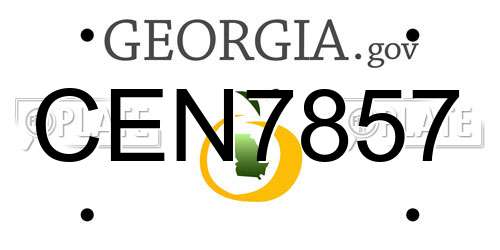CEN7857 Georgia License Plate