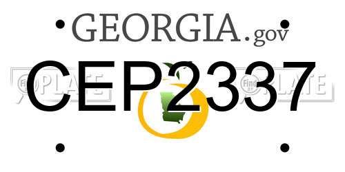 CEP2337 Georgia License Plate