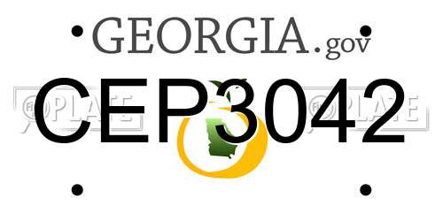 CEP3042 Georgia License Plate