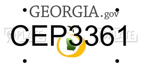 CEP3361 Georgia License Plate
