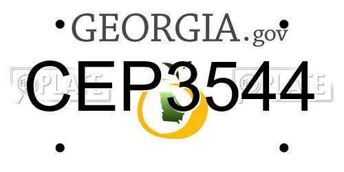CEP3544 Georgia License Plate
