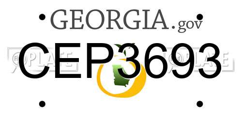 CEP3693 Georgia License Plate