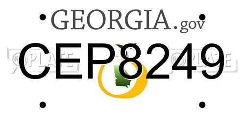CEP8249 Georgia License Plate