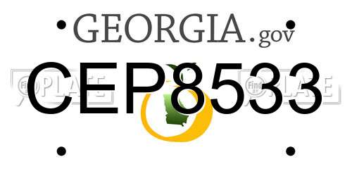 CEP8533 Georgia License Plate