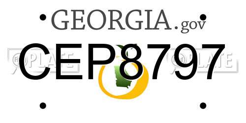 CEP8797 Georgia License Plate