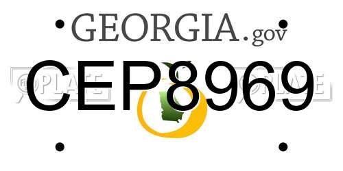 CEP8969 Georgia License Plate