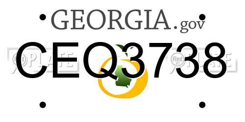 CEQ3738 Georgia License Plate
