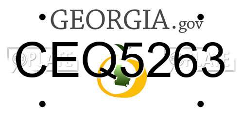 CEQ5263 Georgia License Plate