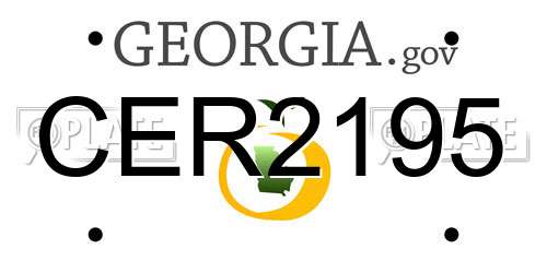 CER2195 Georgia License Plate