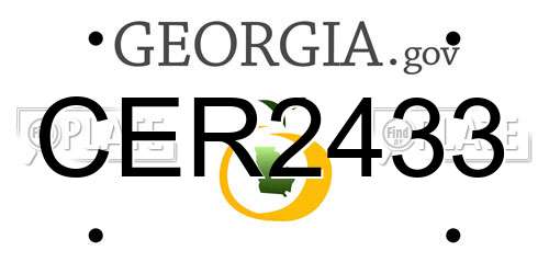 CER2433 Georgia License Plate