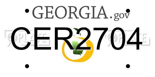 CER2704 Georgia License Plate