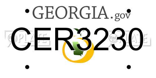 CER3230 Georgia License Plate