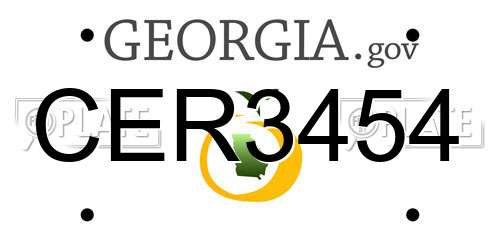 CER3454 Georgia License Plate