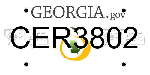CER3802 Georgia License Plate