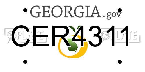 CER4311 Georgia License Plate