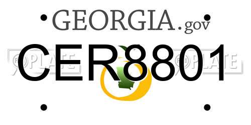 CER8801 Georgia License Plate