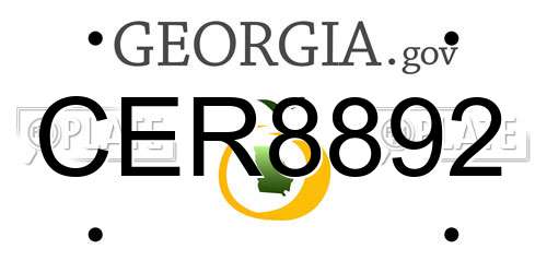 CER8892 Georgia License Plate
