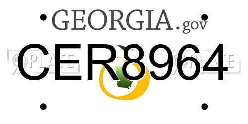 CER8964 Georgia License Plate