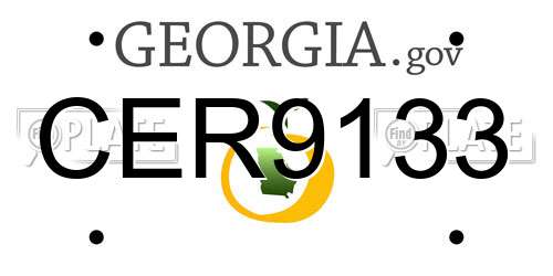 CER9133 Georgia License Plate