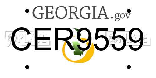 CER9559 Georgia License Plate
