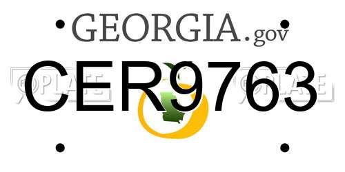 CER9763 Georgia License Plate