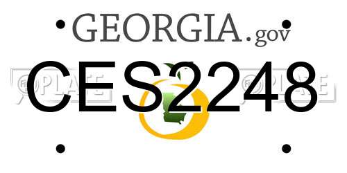 CES2248 Georgia License Plate