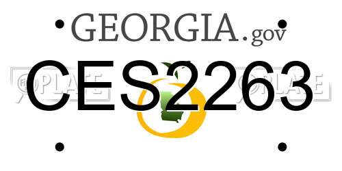 CES2263 Georgia License Plate