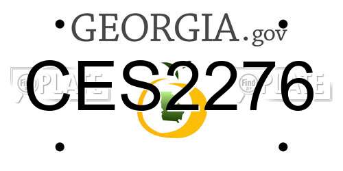 CES2276 Georgia License Plate