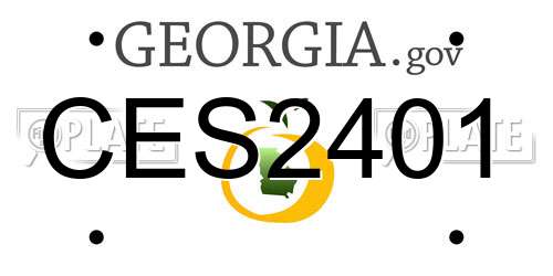 CES2401 Georgia License Plate