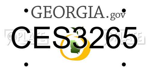 CES3265 Georgia License Plate