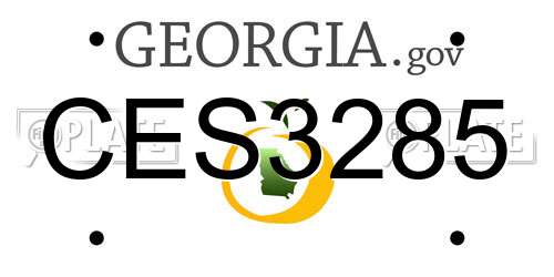 CES3285 Georgia License Plate