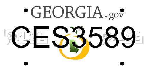 CES3589 Georgia License Plate