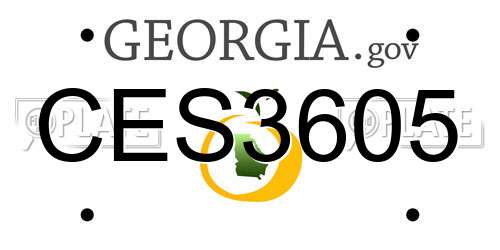CES3605 Georgia License Plate