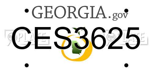 CES3625 Georgia License Plate