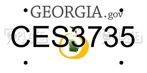 CES3735 Georgia License Plate