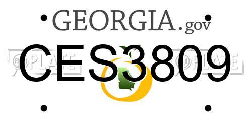 CES3809 Georgia License Plate