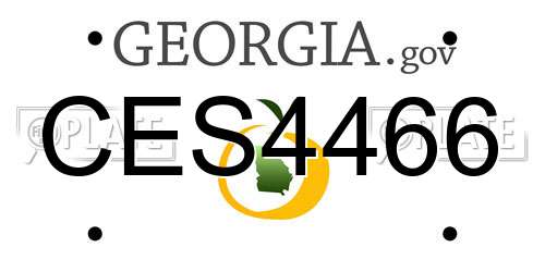 CES4466 Georgia License Plate