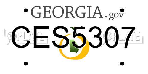 CES5307 Georgia License Plate