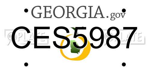 CES5987 Georgia License Plate