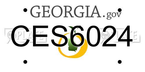 CES6024 Georgia License Plate