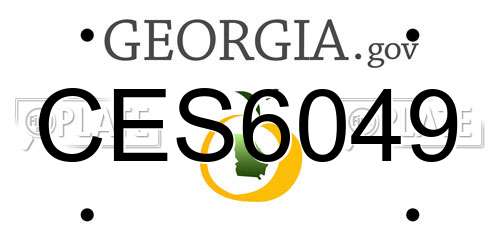 CES6049 Georgia License Plate