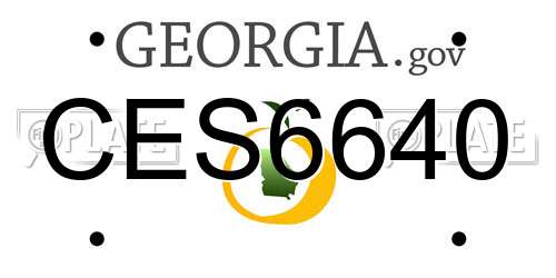 CES6640 Georgia License Plate