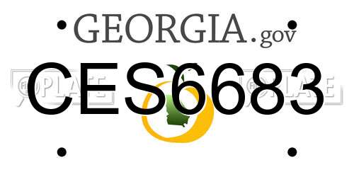 CES6683 Georgia License Plate