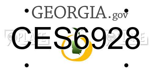 CES6928 Georgia License Plate