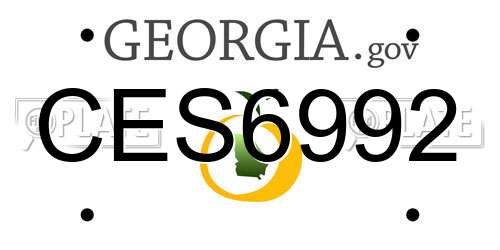 CES6992 Georgia License Plate