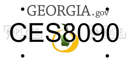 CES8090 Georgia License Plate